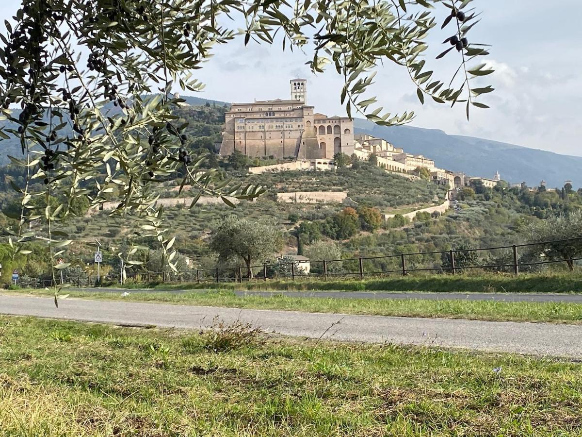 Agriturismo Il Girasole Assisi Luaran gambar