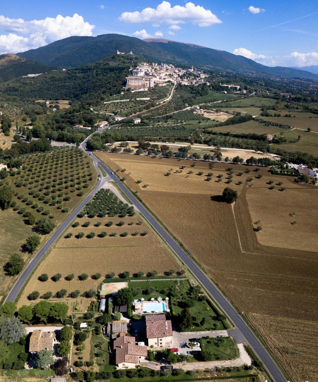 Agriturismo Il Girasole Assisi Luaran gambar