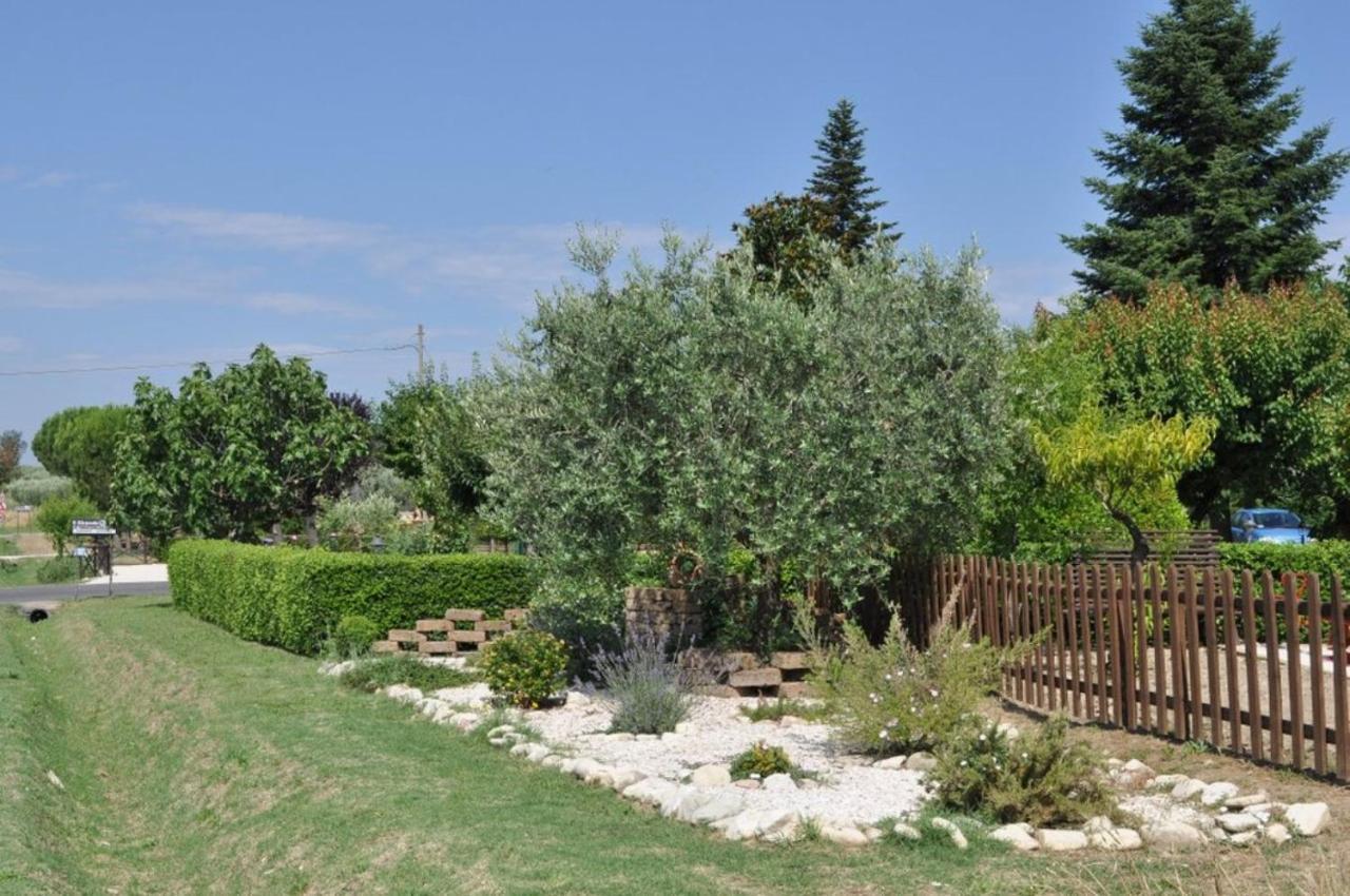 Agriturismo Il Girasole Assisi Luaran gambar